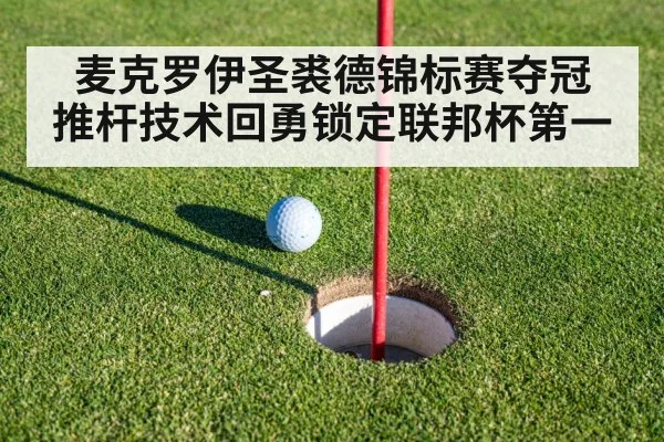 麦克罗伊圣裘德锦标赛夺冠 推杆技术回勇锁定联邦杯第一 - jiuyou game