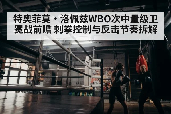 boxer training gym