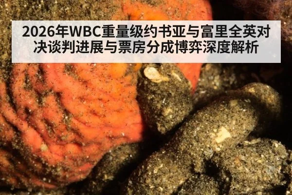 2026年WBC重量级约书亚与富里全英对决谈判进展与票房分成博弈深度解析